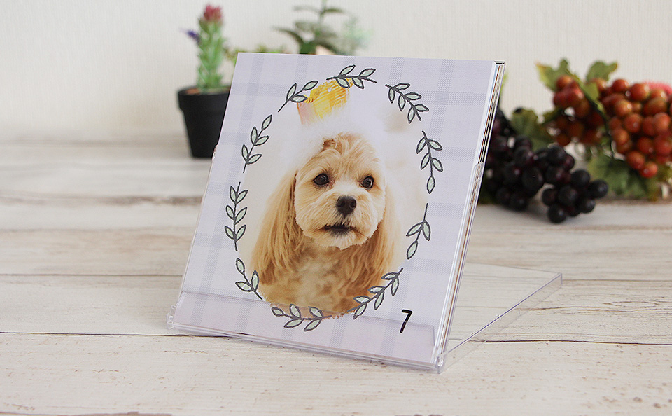 ましかくカレンダー（日めくり万年タイプ）